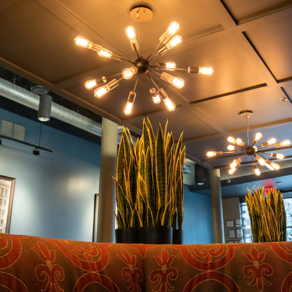 Stylish restaurant interior with patterned orange seating, tall snake plants, exposed ductwork, and glowing modern chandeliers.